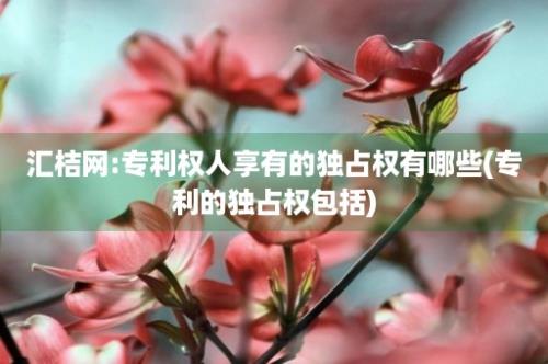 汇桔网:专利权人享有的独占权有哪些(专利的独占权包括)