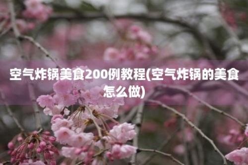 空气炸锅美食200例教程(空气炸锅的美食怎么做)