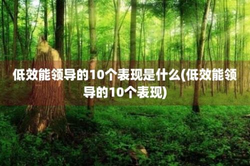 低效能领导的10个表现是什么(低效能领导的10个表现)