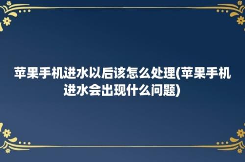 苹果手机进水以后该怎么处理(苹果手机进水会出现什么问题)