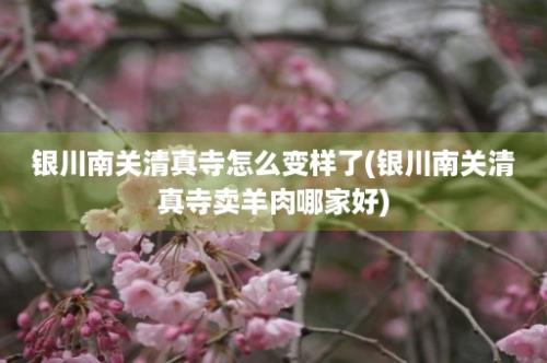 银川南关清真寺怎么变样了(银川南关清真寺卖羊肉哪家好)