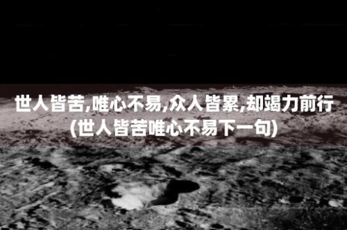 世人皆苦,唯心不易,众人皆累,却竭力前行(世人皆苦唯心不易下一句)