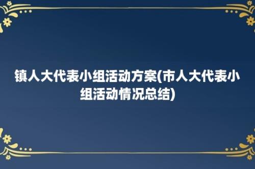 镇人大代表小组活动方案(市人大代表小组活动情况总结)