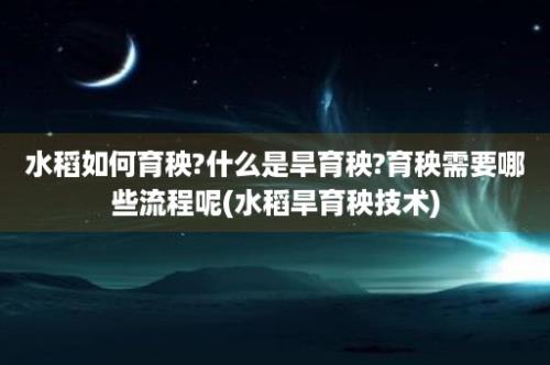 水稻如何育秧?什么是旱育秧?育秧需要哪些流程呢(水稻旱育秧技术)