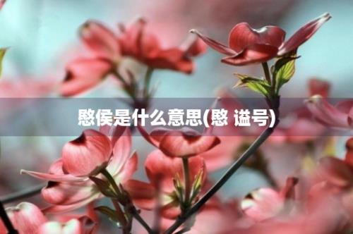 愍侯是什么意思(愍 谥号)