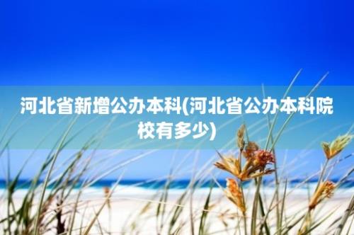 河北省新增公办本科(河北省公办本科院校有多少)