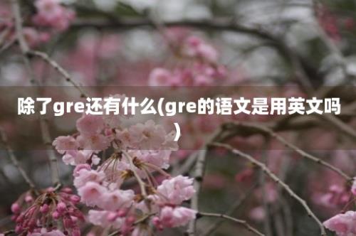 除了gre还有什么(gre的语文是用英文吗)