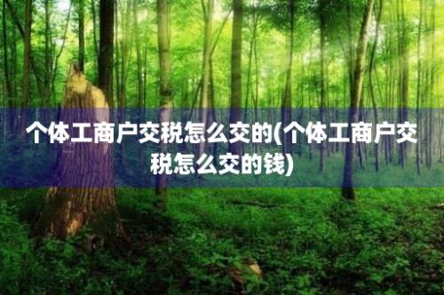 个体工商户交税怎么交的(个体工商户交税怎么交的钱)