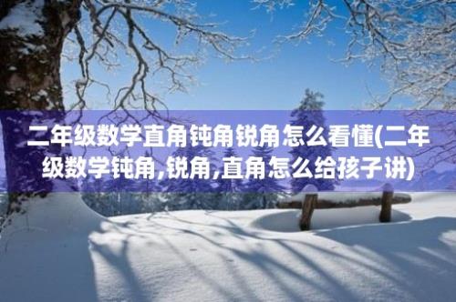 二年级数学直角钝角锐角怎么看懂(二年级数学钝角,锐角,直角怎么给孩子讲)