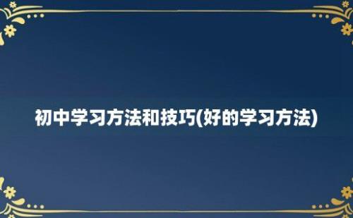 初中学习方法和技巧(好的学习方法)