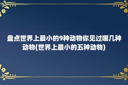 盘点世界上最小的9种动物你见过哪几种动物(世界上最小的五种动物)