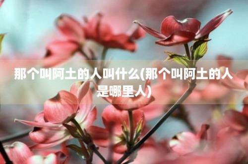 那个叫阿土的人叫什么(那个叫阿土的人是哪里人)