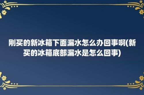 刚买的新冰箱下面漏水怎么办回事啊(新买的冰箱底部漏水是怎么回事)