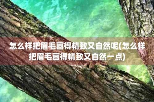 怎么样把眉毛画得精致又自然呢(怎么样把眉毛画得精致又自然一点)