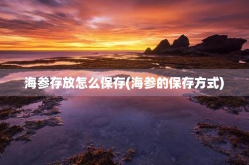 海参存放怎么保存(海参的保存方式)