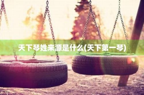 天下琴姓来源是什么(天下第一琴)