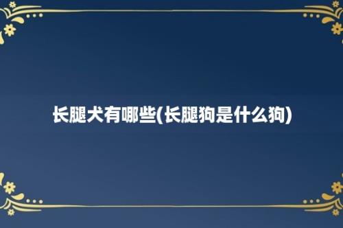 长腿犬有哪些(长腿狗是什么狗)