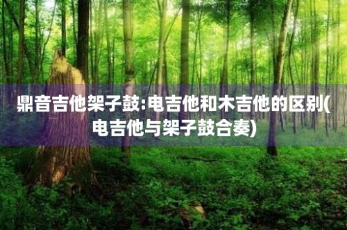 鼎音吉他架子鼓:电吉他和木吉他的区别(电吉他与架子鼓合奏)