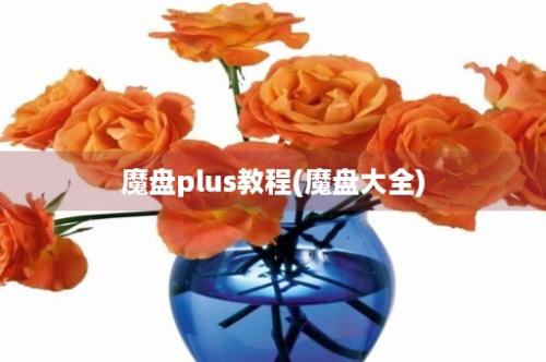 魔盘plus教程(魔盘大全)