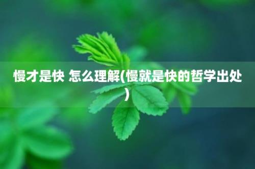 慢才是快 怎么理解(慢就是快的哲学出处)