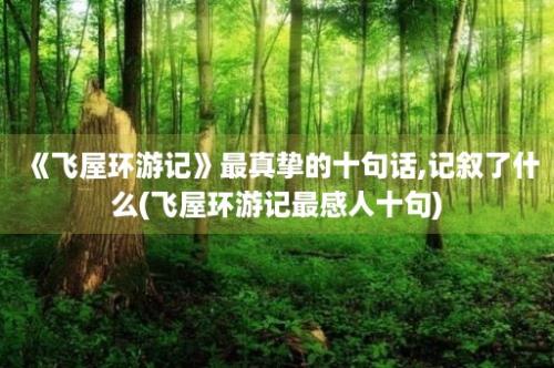 《飞屋环游记》最真挚的十句话,记叙了什么(飞屋环游记最感人十句)