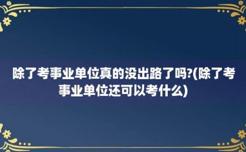 除了考事业单位真的没出路了吗?(除了考事业单位还可以考什么)