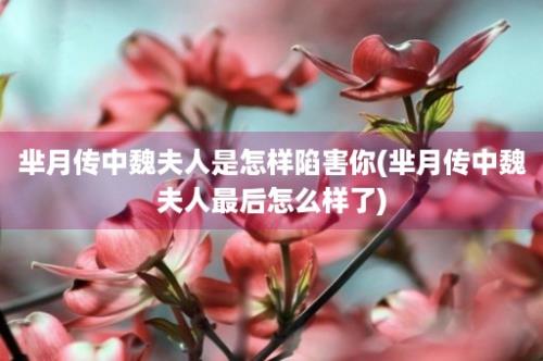 芈月传中魏夫人是怎样陷害你(芈月传中魏夫人最后怎么样了)