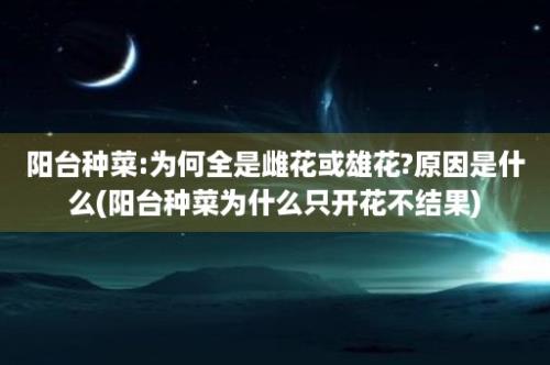 阳台种菜:为何全是雌花或雄花?原因是什么(阳台种菜为什么只开花不结果)