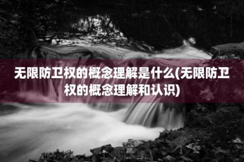 无限防卫权的概念理解是什么(无限防卫权的概念理解和认识)