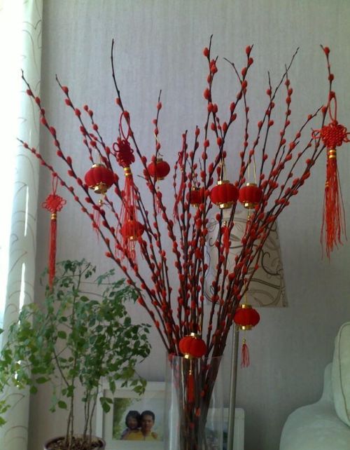 过年家里放的红色的花(过年家里摆的一串串红色花叫什么)
