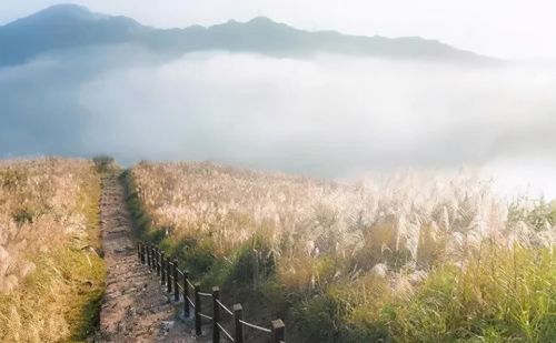 台北必玩景点(台北十大旅游景点)