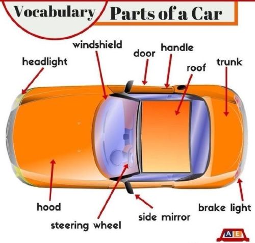 汽车各部分的英文(汽车各部分英语名称)