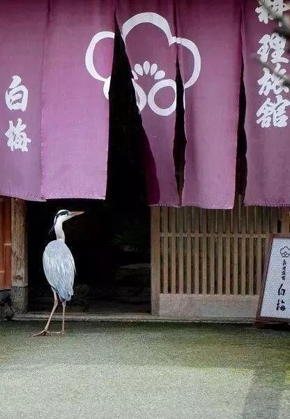 棉布logo(棉布标签)