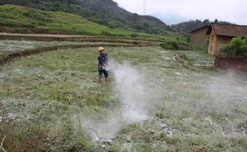 生石灰土壤杀菌方法(生石灰如何改良土壤)