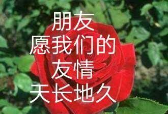 默默祈祷祝福的句子(默默地在祈祷祝福意思)