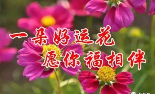 默默祈祷祝福的句子(默默地在祈祷祝福意思)