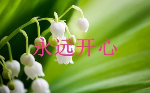 默默祈祷祝福的句子(默默地在祈祷祝福意思)