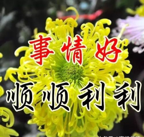 默默祈祷祝福的句子(默默地在祈祷祝福意思)