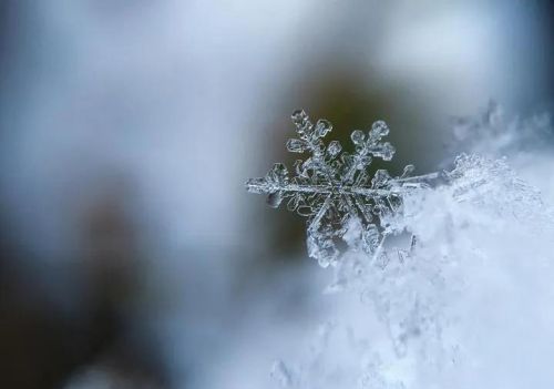 小雪花冰淇淋自动售卖机(小雪花舞蹈考级一级)