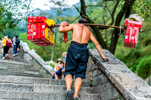 庐山抬轿子多少钱(庐山轿子多少钱一斤)