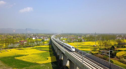 汉中油菜花海在什么地方(2021汉中油菜花海在哪里)