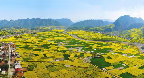 汉中油菜花海在什么地方(2021汉中油菜花海在哪里)