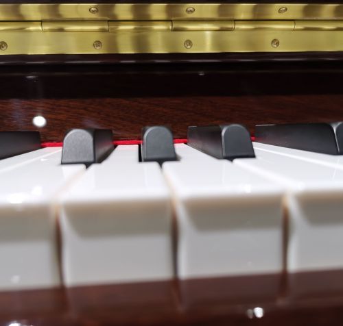 不同品牌钢琴琴键有宽有窄吗图片(不同品牌钢琴琴键有宽有窄吗对吗)