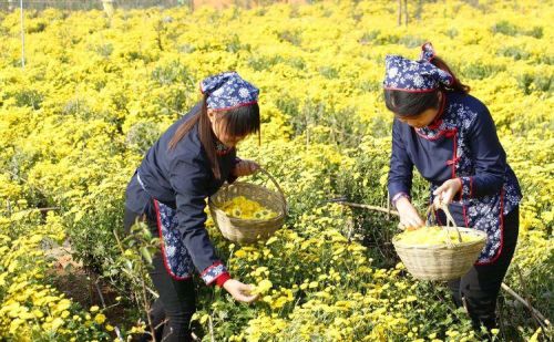 费县御华景宸工作怎么样(费县御华景宸中医药养生园)