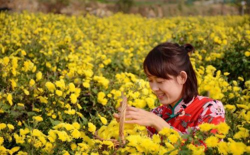 费县御华景宸工作怎么样(费县御华景宸中医药养生园)