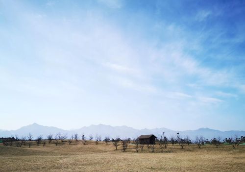 又是一年春来早下一句(又是一年春来早,桃花依旧笑春风)