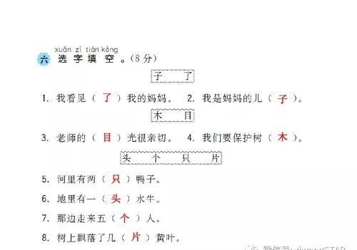 部编版一年级语文上册知识点考题(部编版一年级语文上册期中考试试卷集合)