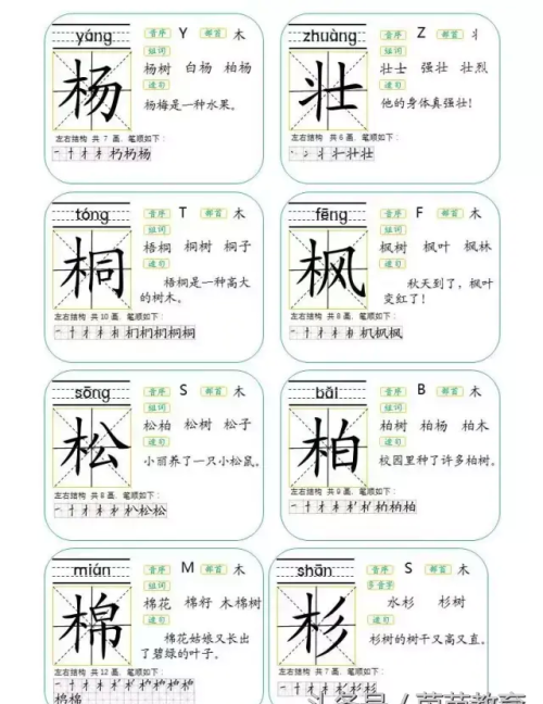 二年级树的课后生字(小学语文二年级上册识字2树)