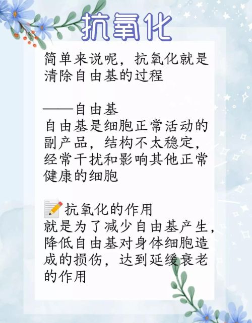 抗氧化究竟是什么东西(抗氧化究竟是什么物质)