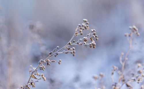 余生漫漫有你足矣下一句(余生漫漫有你足矣礼物)